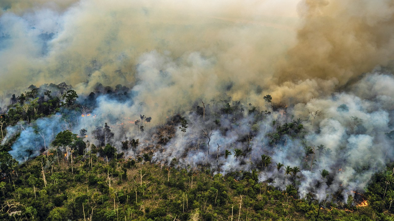 CETICISMO - Fogo na Amazônia: ninguém crê em desmatamento zero até 2030 -