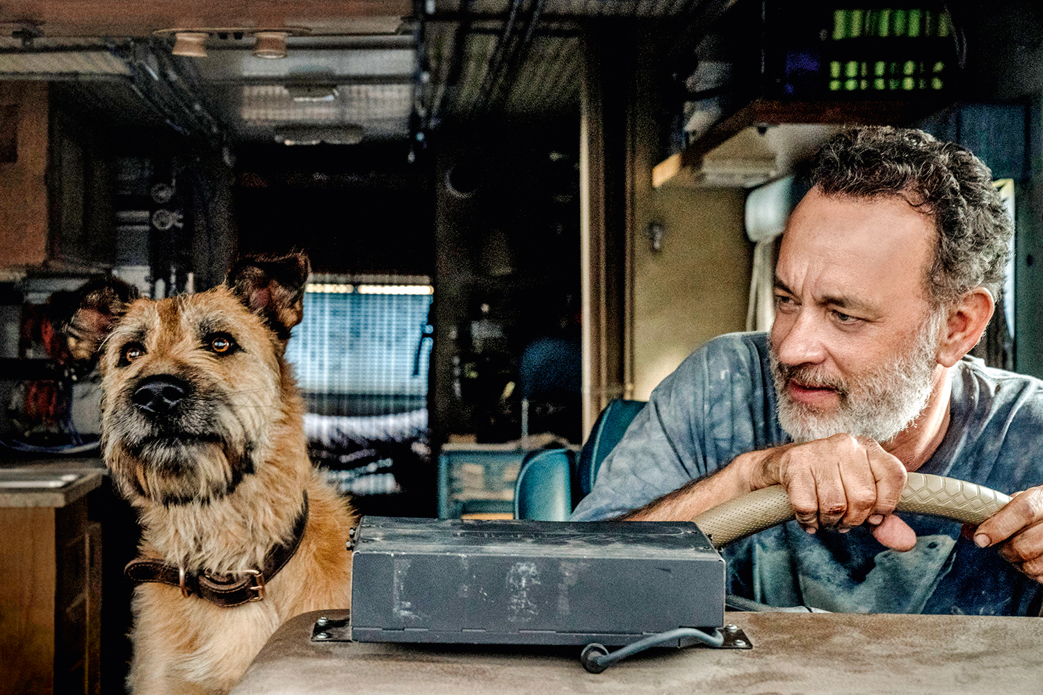 Em filme terno, Tom Hanks e cão sobrevivem ao fim da camada de ozônio