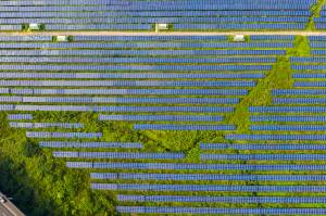 Painéis para captação de energia solar em Huzhou, China.