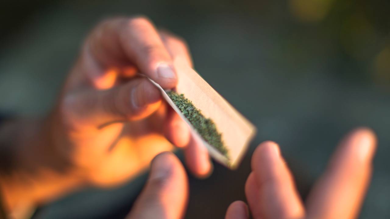 Cigarro de maconha sendo enrolado