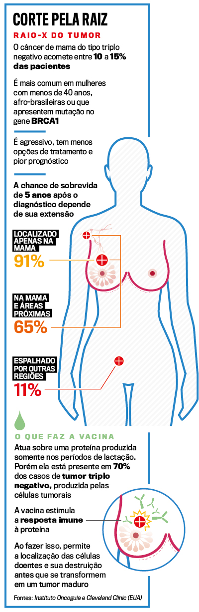 Pela 1ª vez, cientistas testarão vacina para prevenir o câncer de