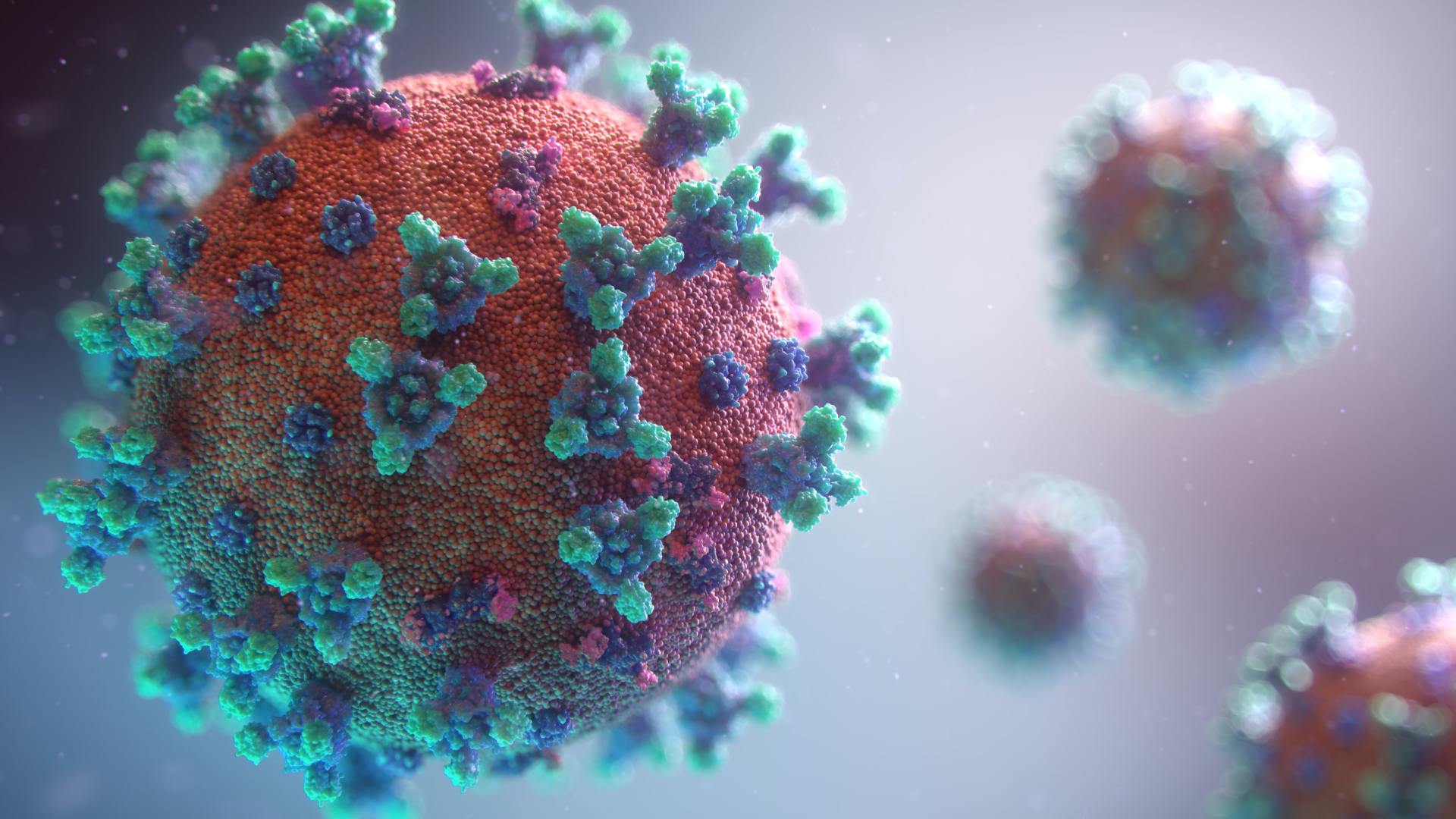 https://veja.abril.com.br/saude/diretor-da-oms-preve-fim-da-pandemia-de-covid-19-na-europa/