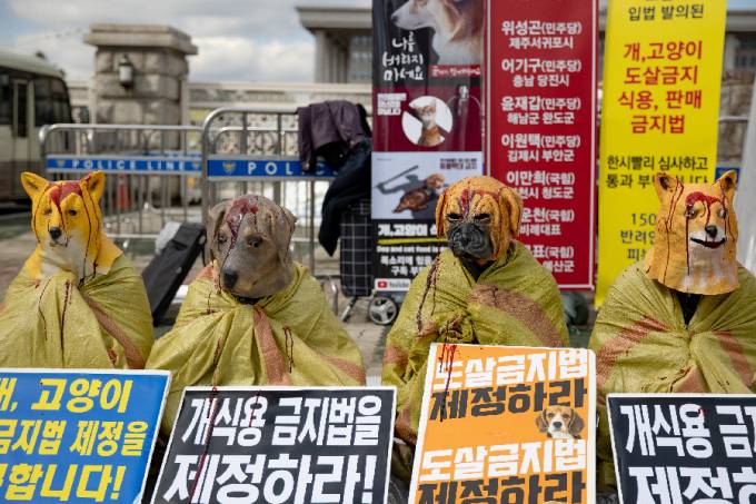 Protesto de grupo de direitos animais em Seul