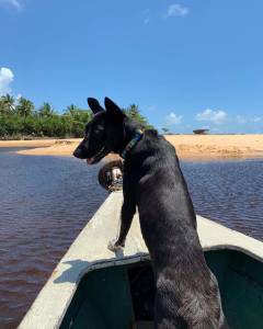 Muleke nos barcos