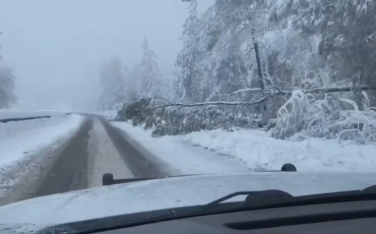 Tempestade despeja quantidade recorde de neve sobre partes da Califórnia