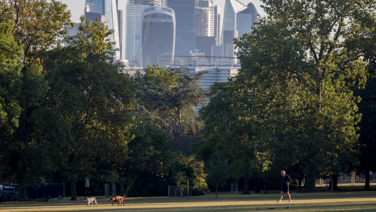 Região de Ruskin Park, em Londres: cidade tem ousado plano verde
