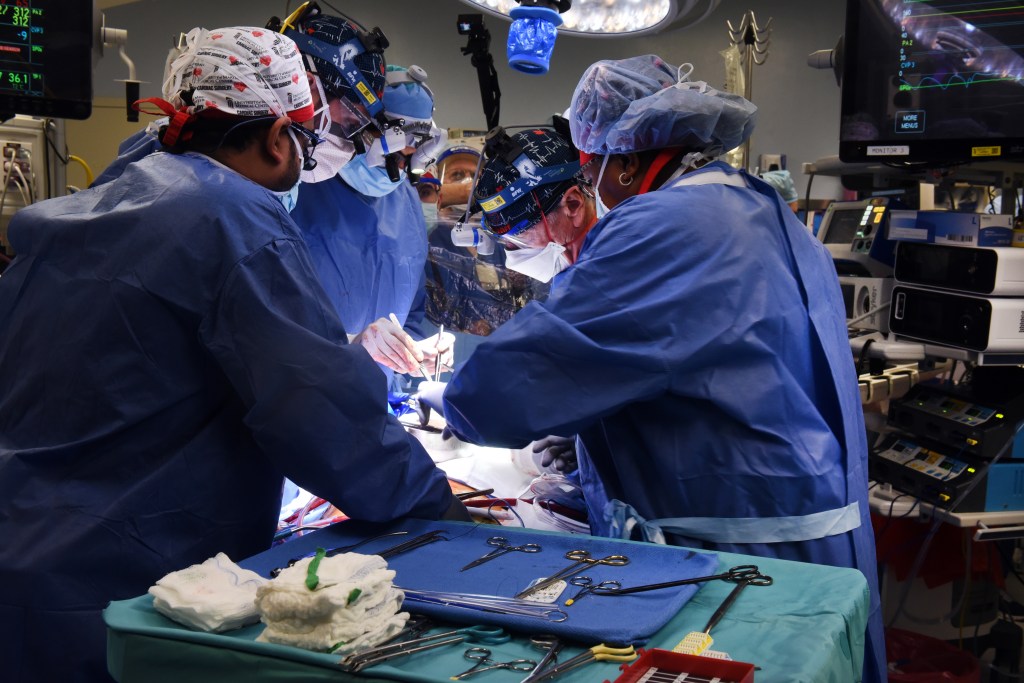 A equipe do cirurgião Bartley Griffith realizou o transplante, e monitora o paciente para garantir que o órgão não será rejeitado -