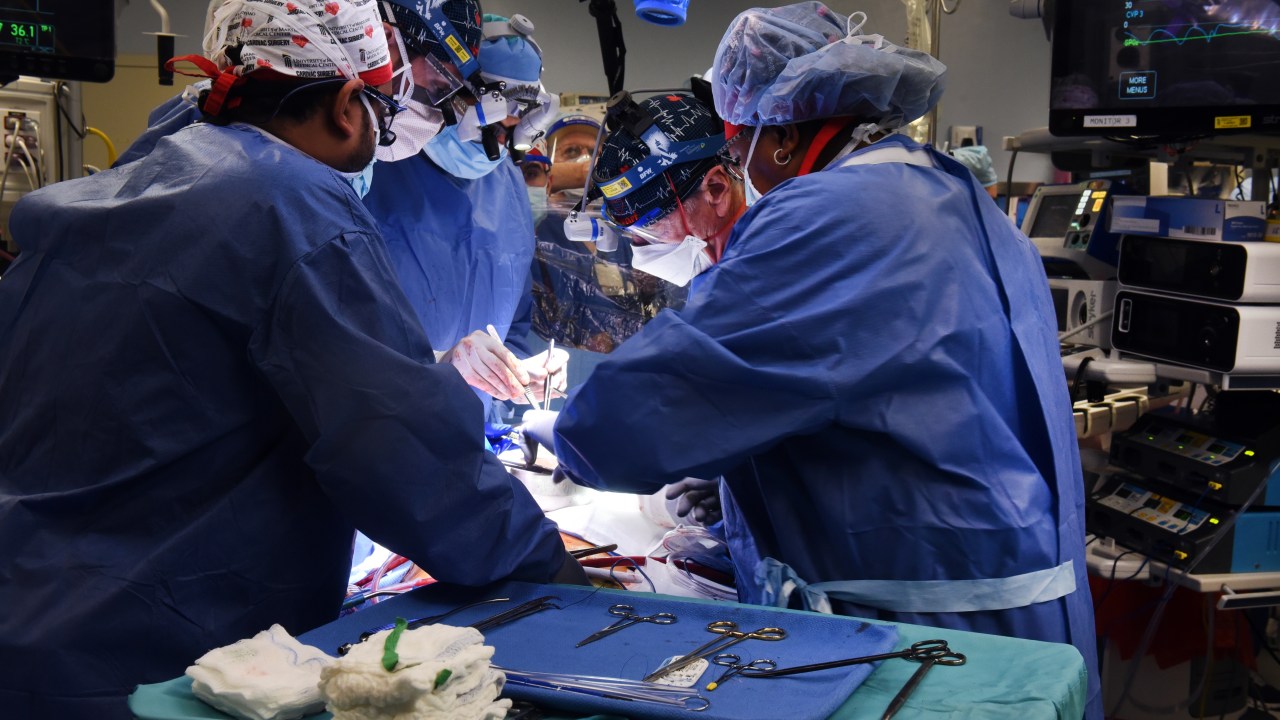 A equipe do cirurgião Bartley Griffith realizou o transplante, e monitora o paciente para garantir que o órgão não será rejeitado -