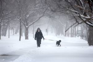 Homem caminha com cachorro em rua repleta de neve em Chicago, Illinois. 02/02/2022