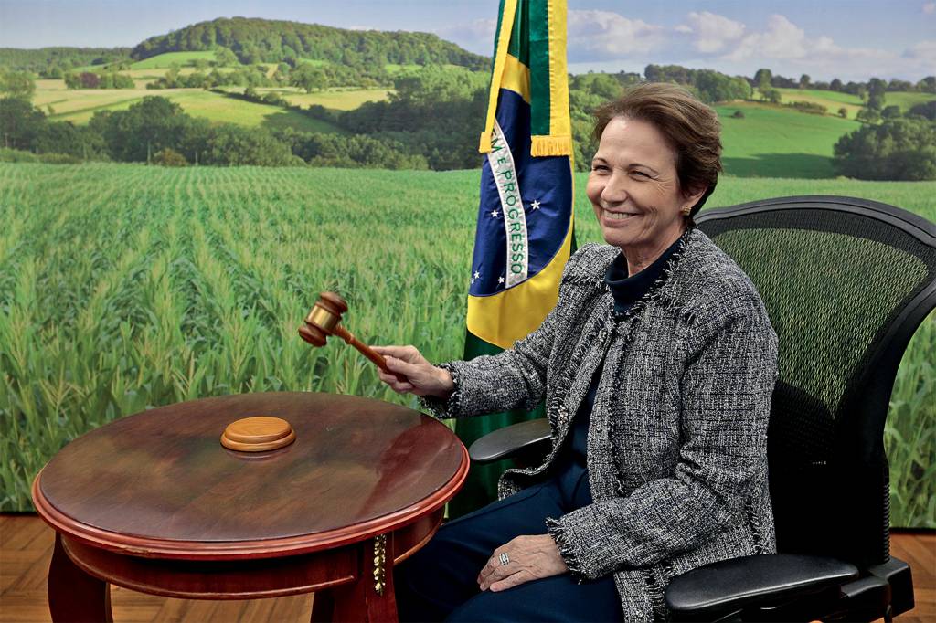 PLANO B - Tereza: a ministra da Agricultura é cotada como uma das alternativas para compor a chapa com Bolsonaro -