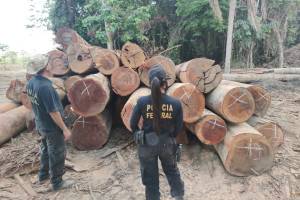 Operação da Polícia Federal contra desmatamento