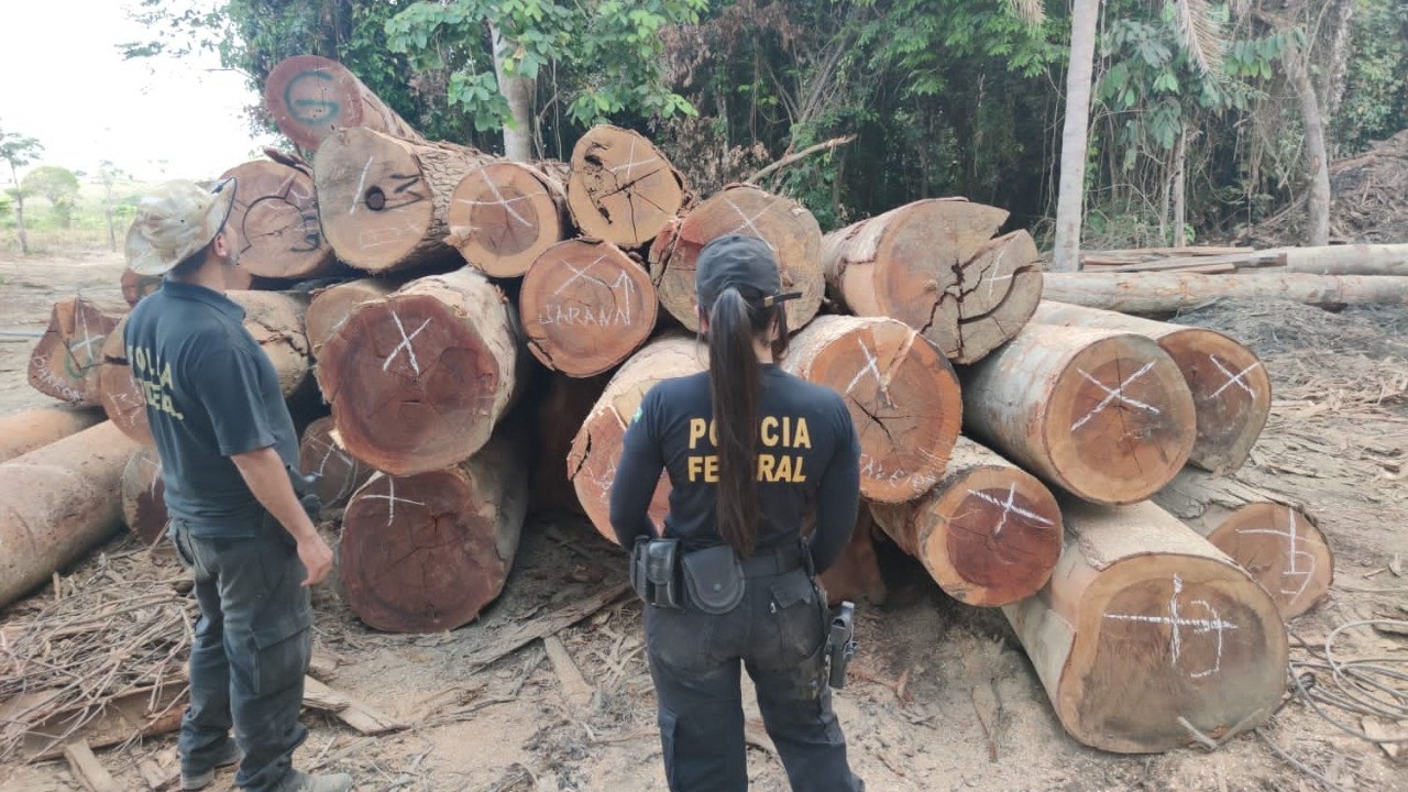 Operação da Polícia Federal contra desmatamento
