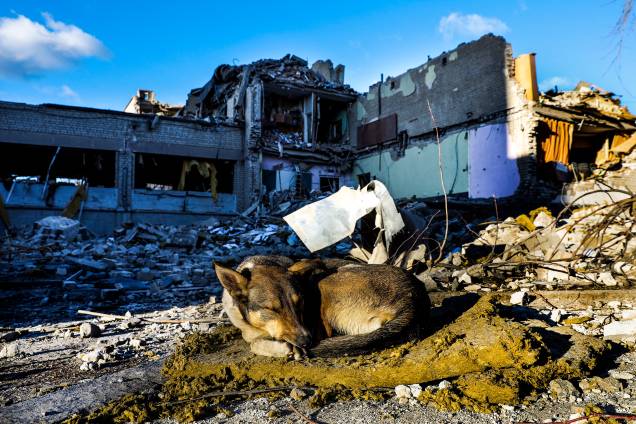 Um cachorro dorme nos escombros do prédio principal da escola destruído após ser bombardeado, em Zhytomyr, na Ucrânia -