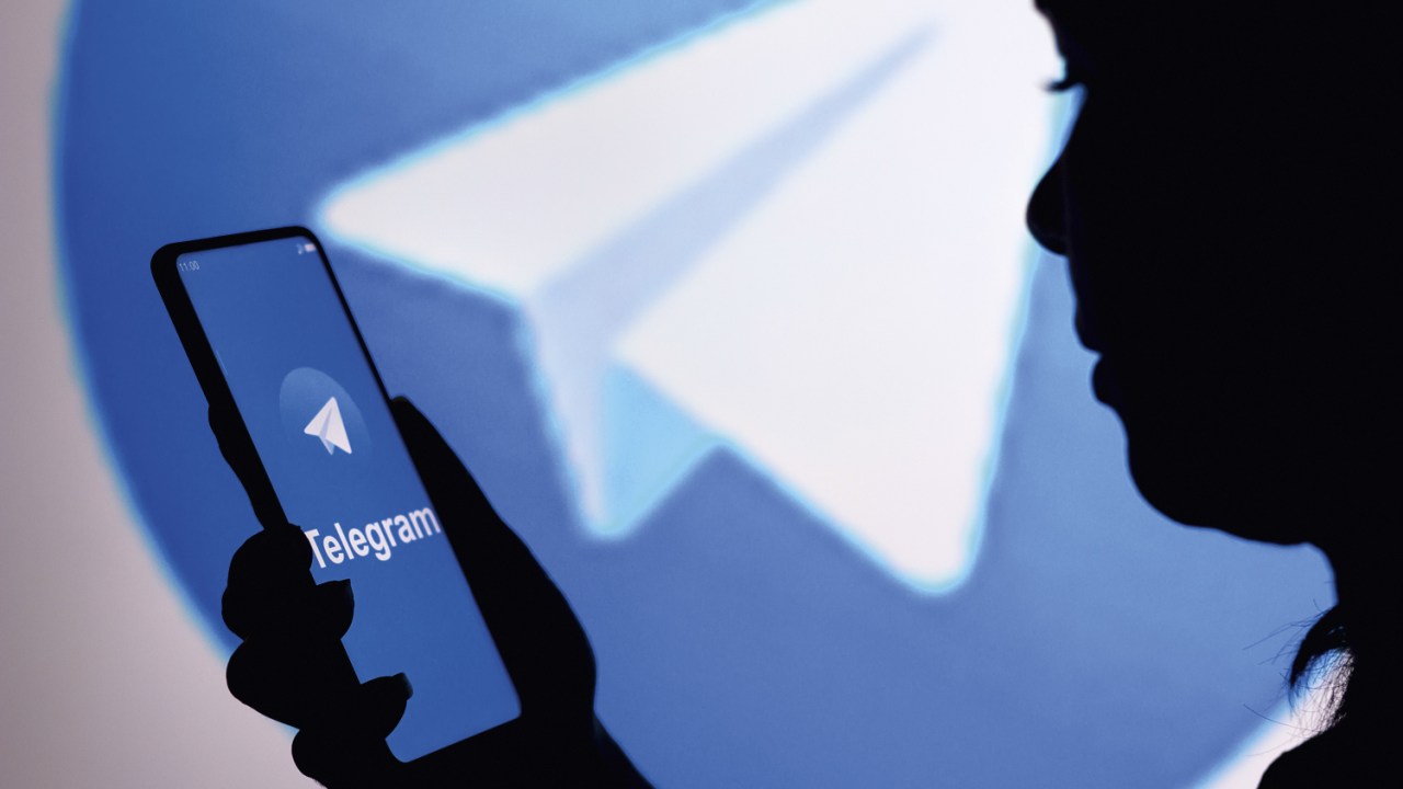 DISCIPLINADOR - Telegram bloqueado pelo Supremo: qual o papel do Estado? -