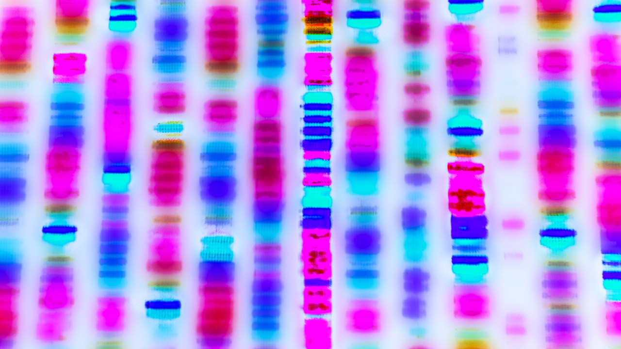 Representação gráfica da sequência de DNA
