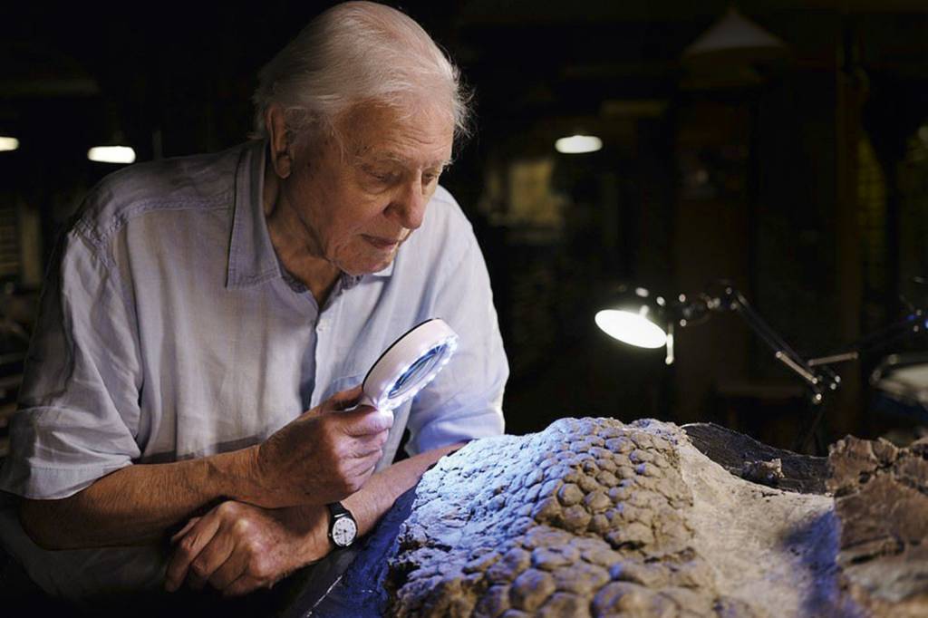 64b9391675.jpg TESOURO - David Attenborough, na série da BBC: achado histórico -