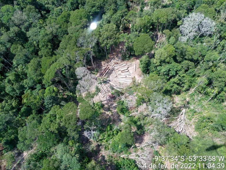 Área desmatada por madeireiros descoberta em operação da PF no Mato Grosso nesta terça, 12