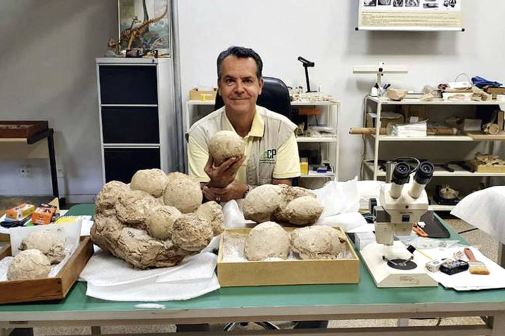 BOX-OVOS-DINOSSAUROS-BRASIL-PROF-LUIZ-CARLOS-UFTM-1.jpg PAI CORUJA - Luiz Carlos Ribeiro, em Uberaba: orgulhoso, com os ovos -