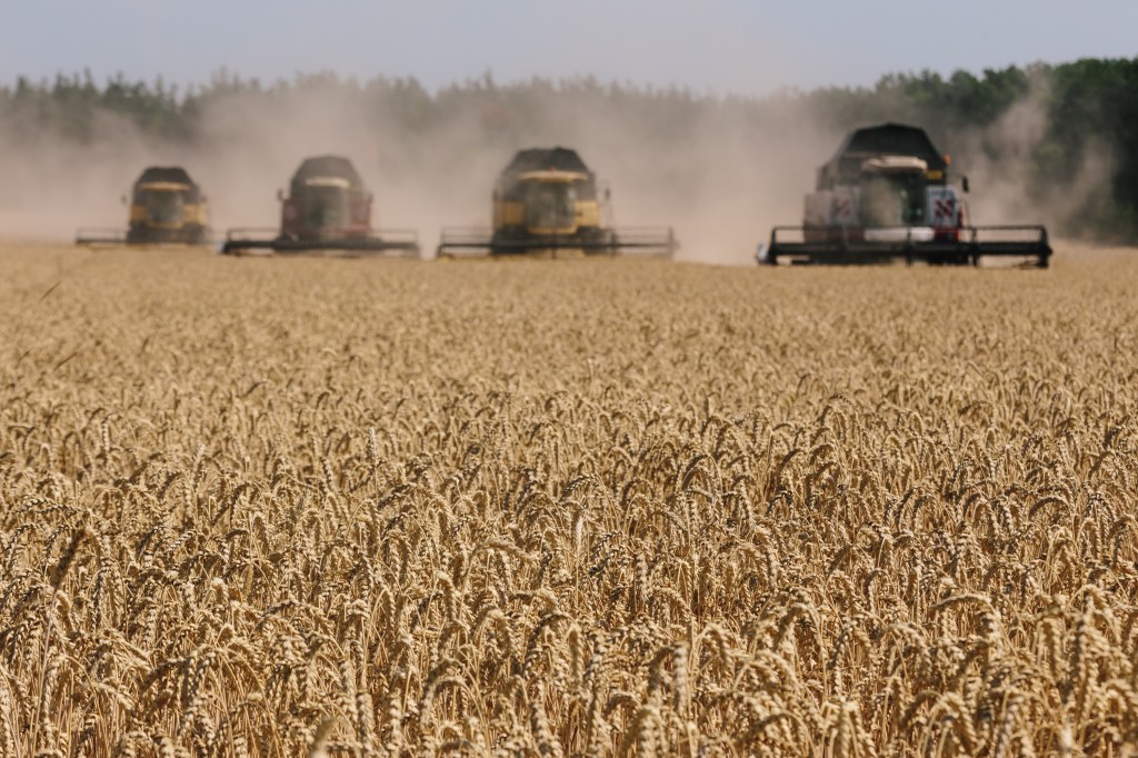 Harvesters in the field. Harvesting combines in the fields of Novovodolazhsky district of Kharkiv region, Ukraine on July 25, 2017. (Photo by Pavlo Pakhomenko/NurPhoto via Getty Images)