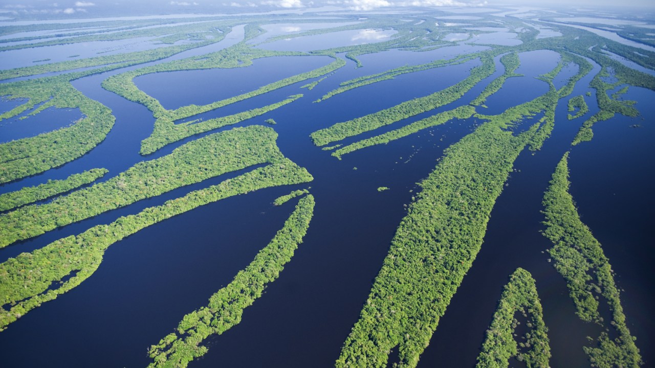 DEBATE CENTRAL - Amazônia: o STF pode intervir nas questões ambientais? -
