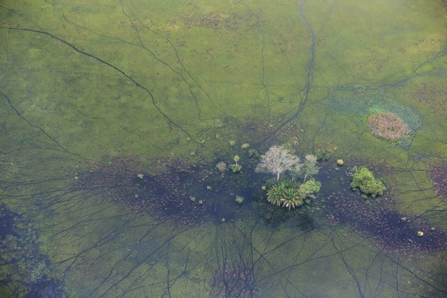 Foto aérea de cheias na região do Pantanal.