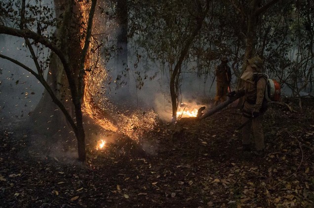 Bombeiros trabalham para combater o fogo na mata, município de Porto Jofre, região do Pantanal, estado do Mato Grosso.