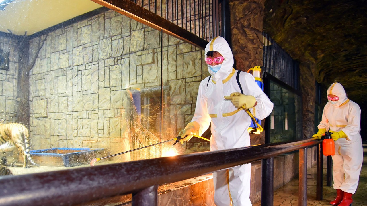 This undated picture released from North Korea's official Korean Central News Agency (KCNA) on May 20, 2022 shows employees of the Central Ideals Zoo disinfecting the zoo to prevent the spread of the Covid-19 coronavirus in Pyongyang. (Photo by KCNA VIA KNS / AFP) / South Korea OUT / ---EDITORS NOTE--- RESTRICTED TO EDITORIAL USE - MANDATORY CREDIT "AFP PHOTO/KCNA VIA KNS" - NO MARKETING NO ADVERTISING CAMPAIGNS - DISTRIBUTED AS A SERVICE TO CLIENTS / THIS PICTURE WAS MADE AVAILABLE BY A THIRD PARTY. AFP CAN NOT INDEPENDENTLY VERIFY THE AUTHENTICITY, LOCATION, DATE AND CONTENT OF THIS IMAGE --- /