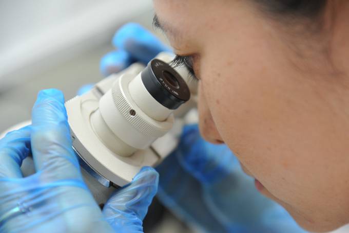 Inteligência artificial detecta doença de Chagas com imagem de celular - VEJA