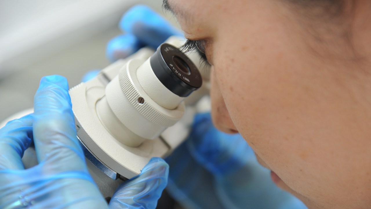 Pesquisadora observando material microscópico em microscópio no Instituto de Ciências Biomédicas (ICB)