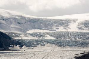 Columbia Icefield Glacier, Alberta, Canada