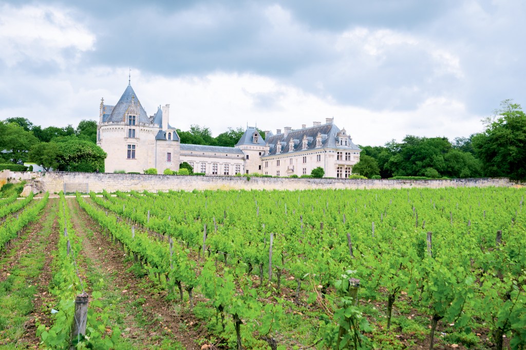 VINHEDO - Vale do Loire, na França: número de vinícolas ambientalmente responsáveis cresce na região -
