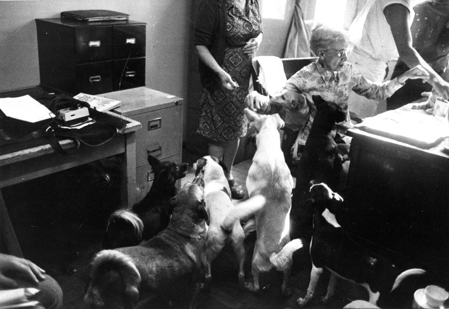 A psicanalista Nise da Silveira com seus cachorros, em sua residência, anos 80.