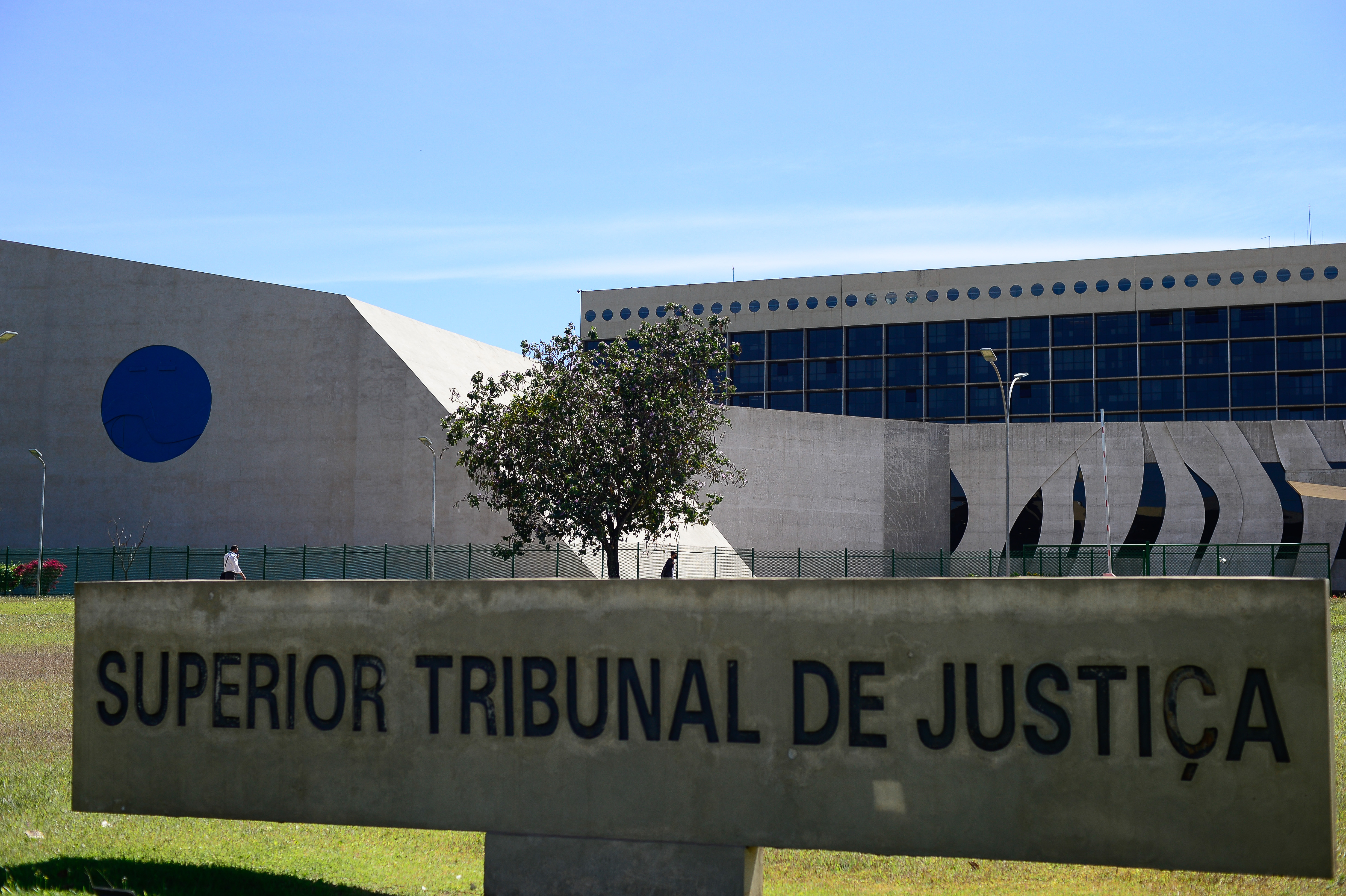 A litigância predatória afeta economia e os negóci...