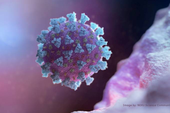 A computer image created by Nexu Science Communication together with Trinity College in Dublin, shows a model structurally representative of a betacoronavirus which is the type of virus linked to COVID-19