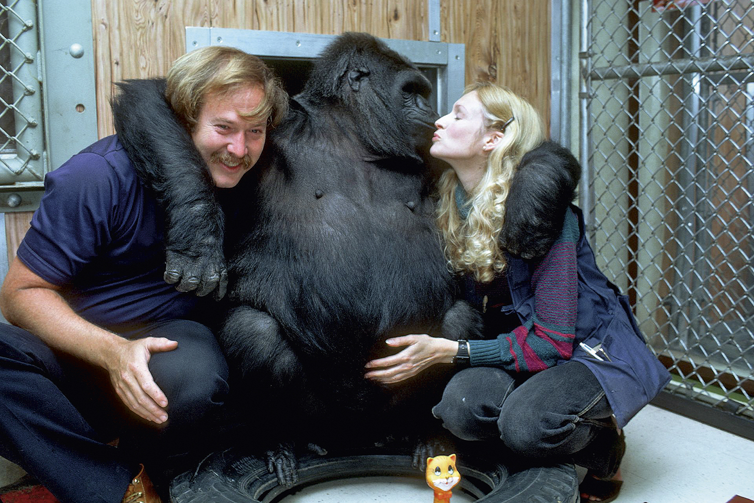 ELOQUENTE - Koko ao lado de seus cuidadores: a gorila entendia inglês -