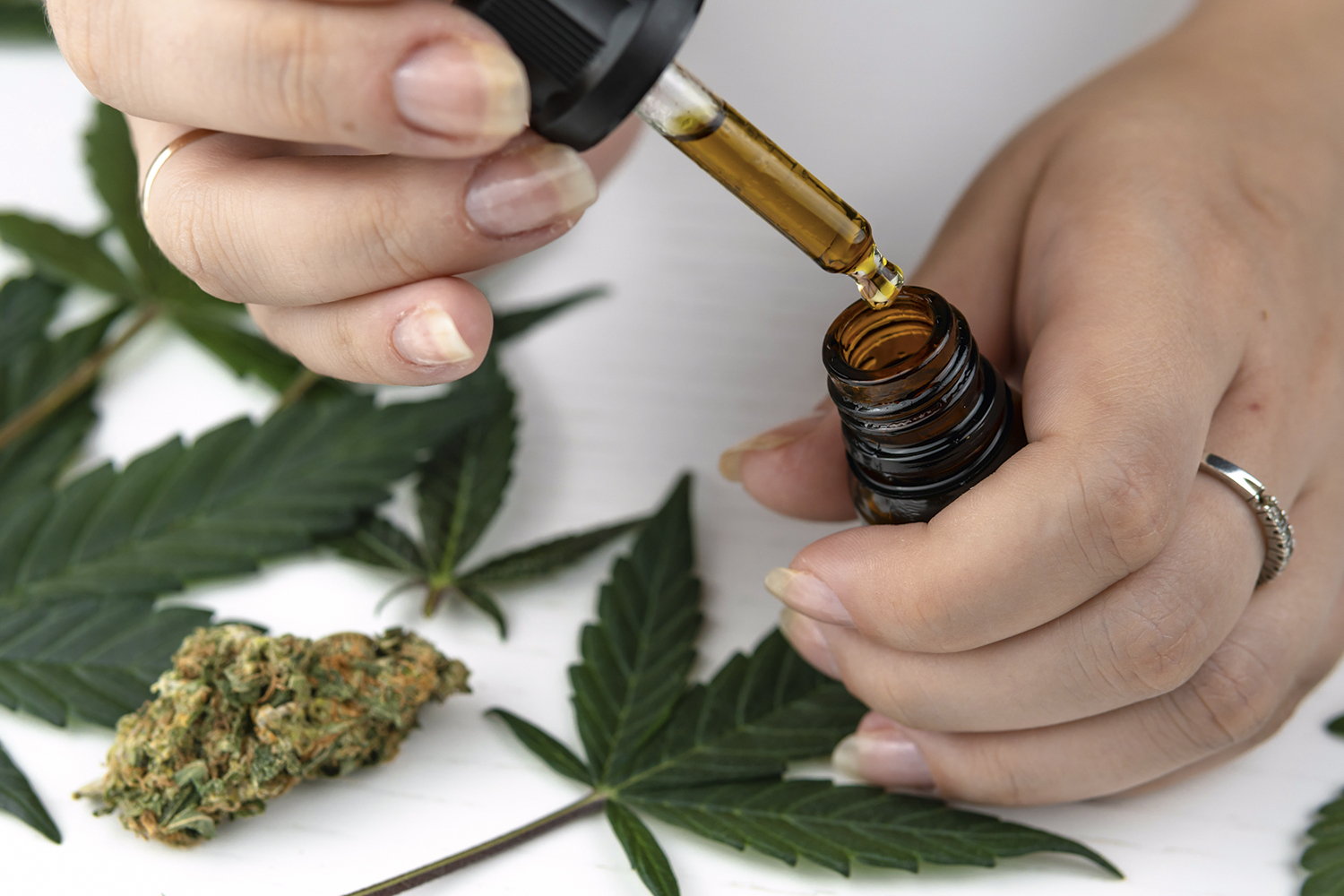 REMÉDIO - Cannabis medicinal: evidências sólidas de eficácia contra a forma crônica da dor -