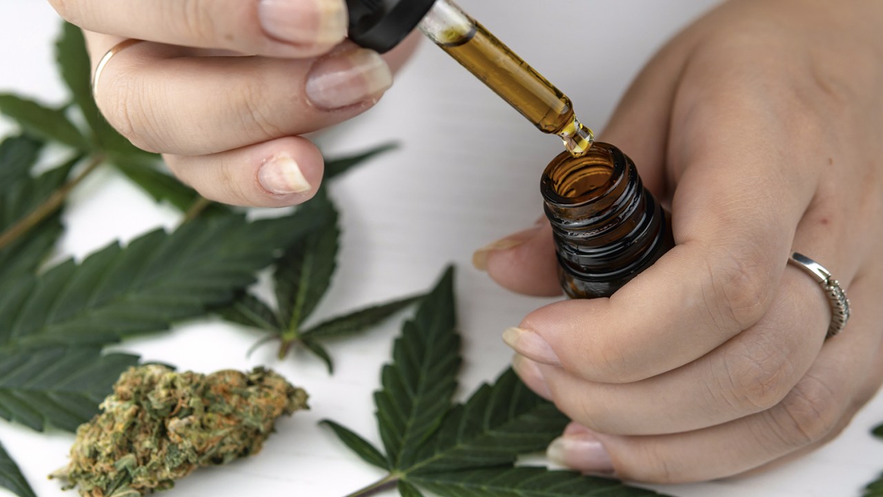 REMÉDIO - Cannabis medicinal: evidências sólidas de eficácia contra a forma crônica da dor -
