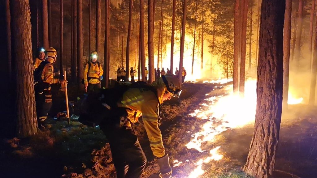 Beelitz: Equipes de emergência da organização humanitária @fire lançaram contra-fogo para evitar que o incêndio florestal se espalhe ainda mais e para apoiar o corpo de bombeiros no combate ao incêndio