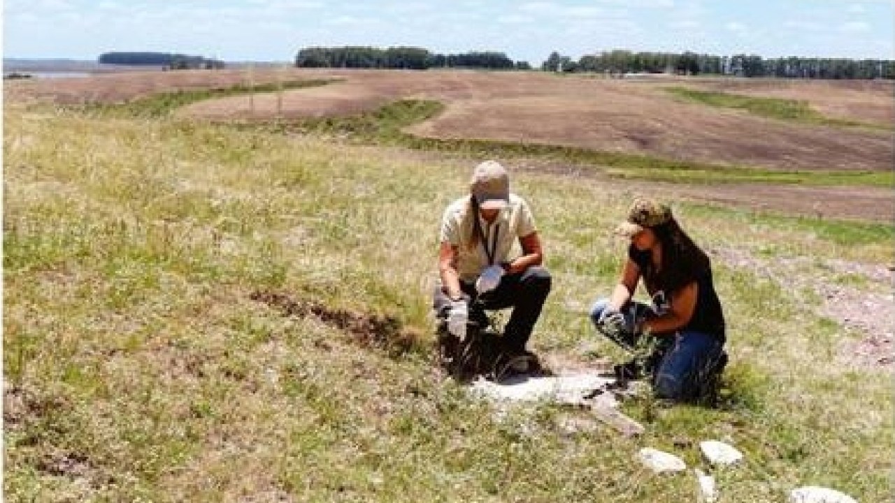 Em 2019, cientistas redescobrem sítio paleontológico em Dom Pedrito, no Rio Grande do Sul