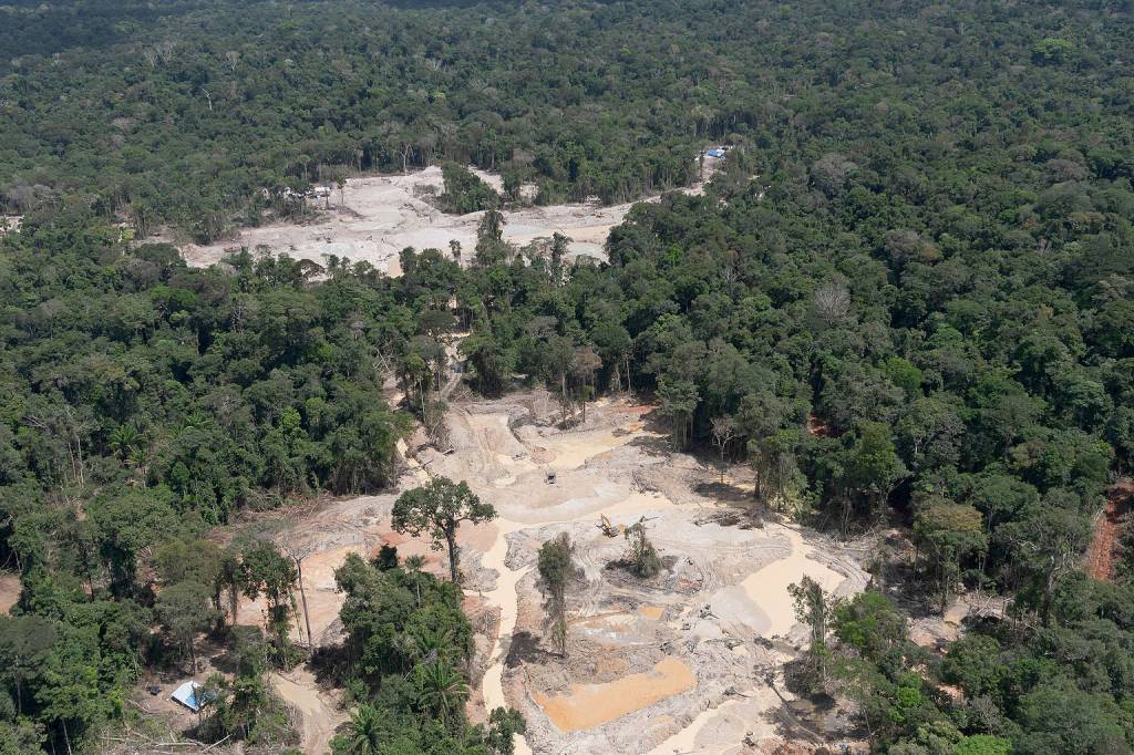 Entenda aumento do desmatamento da Amazônia nos últimos 12 meses