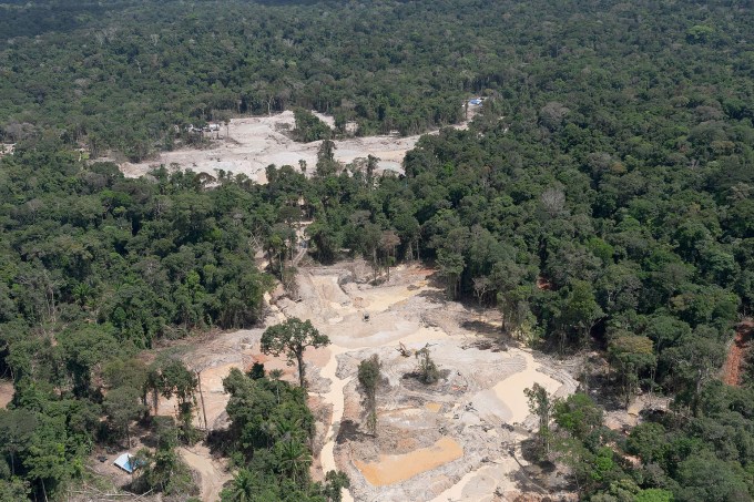 Mais de 70% de todo o garimpo realizado na Amazônia entre janeiro e abril de 2020 ocorreu dentro de áreas protegidas. As terras indígenas Munduruku e Sai Cinza, do povo Munduruku, no Pará, acumulam, juntas, pouco mais de 60% de todo o desmatamento para garimpo registrado dentro de terras indígenas em 2020. O garimpo também consumiu 879 hectares de floresta dentro das Unidades de Conservação entre janeiro e abril deste ano, o que representa um aumento de 80,62%, comparado aos mesmos meses de 2019.