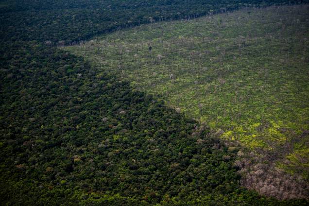 Vista mostrando uma área desmatada da floresta amazônica, durante um vôo entre Manaus e Manicore, no Estado do Amazonas, Brasil, em 06/07/2022. Vista mostrando uma área desmatada da floresta amazônica, durante um vôo entre Manaus e Manicore, no Estado do Amazonas, Brasil, em 06/07/2022.