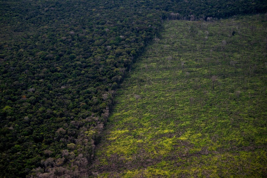 Colniza registra maior área contínua desmatada na Amazônia em 2022 :  Instituto Centro de Vida