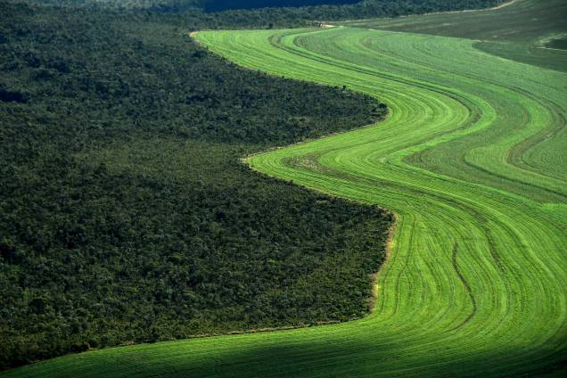 Vista aérea de um campo agrícola próximo a um Cerrado nativo em Formosa do Rio Preto, oeste da Bahia, Brasil. Vista aérea de um campo agrícola próximo a um Cerrado nativo em Formosa do Rio Preto, oeste da Bahia, Brasil.