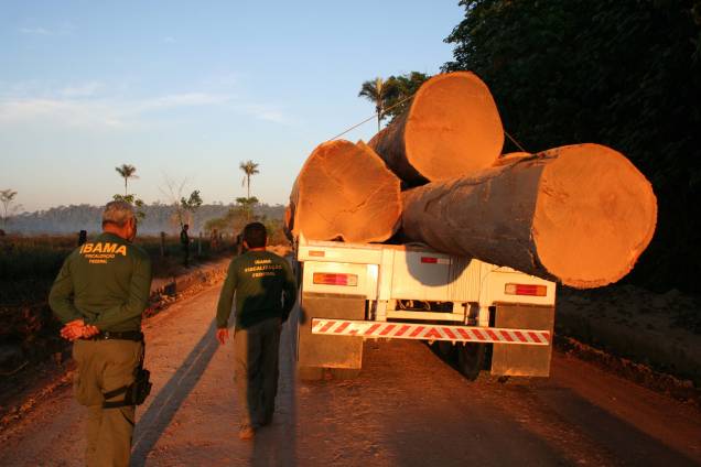 Fiscais do IBAMA verificando um caminhão carregado de toras da Amazônia, Brasil, em 13/08/2019.