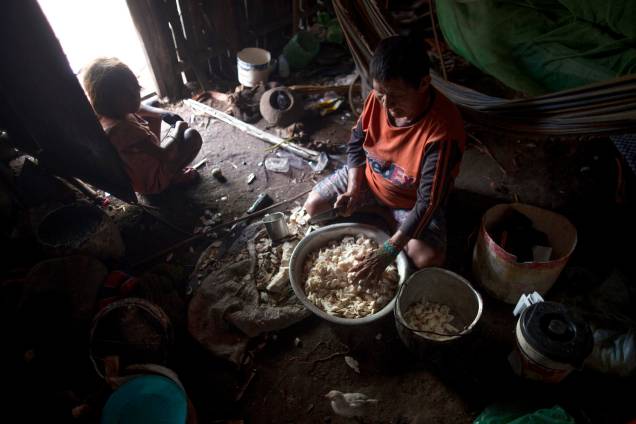 Povos indígenas da Tribo Arara, preparando o prato de mandioca, no estado no Pará, em 15/03/2019.