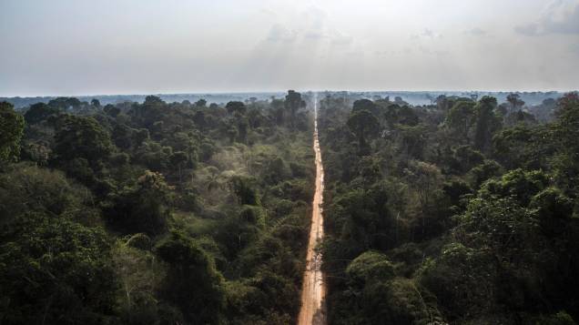 Cena geral da Floresta Amazônica na região de Guariba, estado do Mato Grosso, em 27/08/2019.