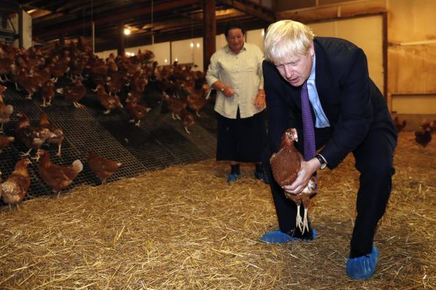 O primeiro-ministro britânico Boris Johnson, segura uma galinha durante sua visita para angariar apoio para seus planos agrícolas pós-Brexit, na Shervington Farm, St Brides Wentlooge, sul do País de Gales, em 30/07/2019.