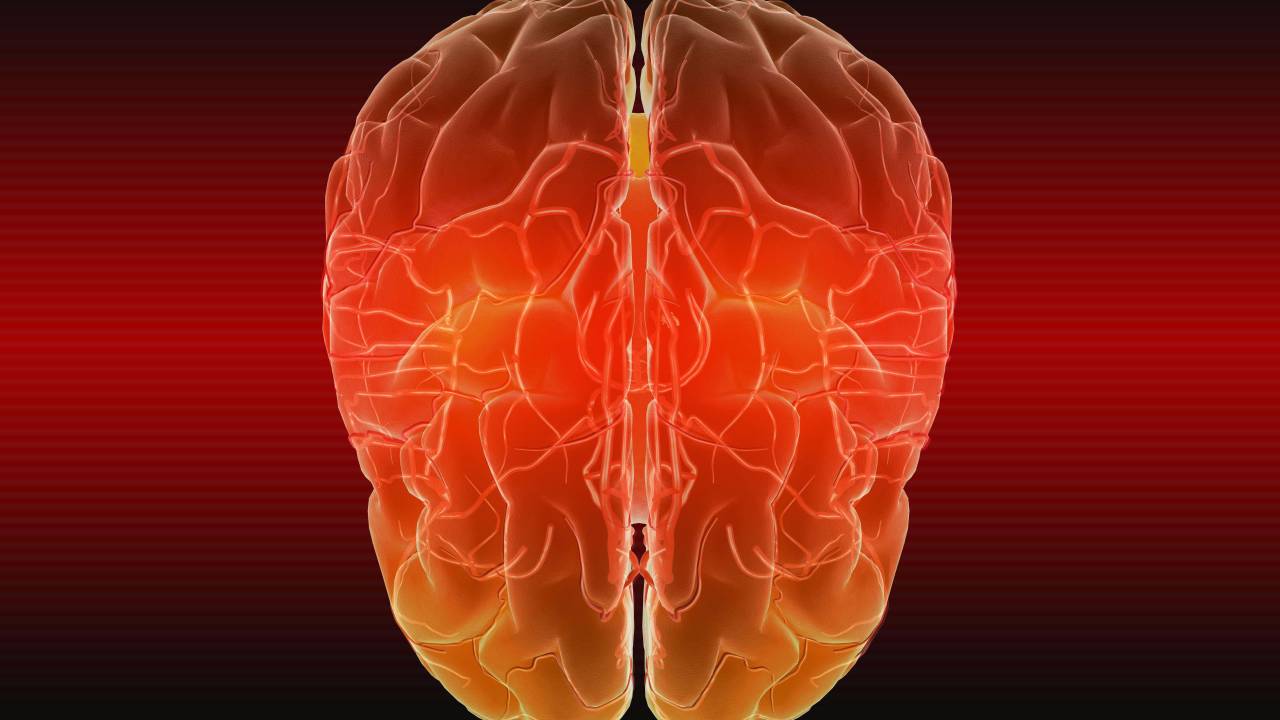 Atlas sem precedentes do mapeamento celular do cérebro humano revela detalhes inéditos e pode servir de base para tratamentos futuros -