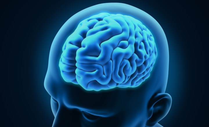 Cientistas descobrem padrão cerebral associado à resistência ao estresse |  VEJA
